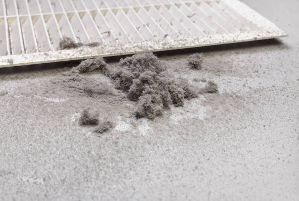 Best Air Duct Mold Removal  in Oyster Creek, TX